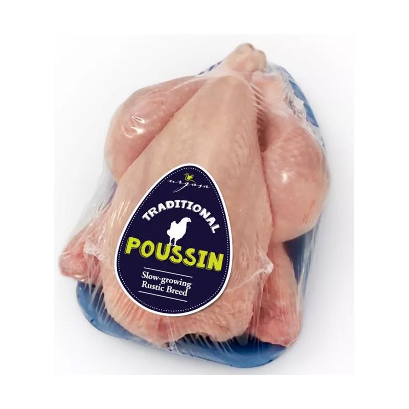 Biały mini kogucik Hiszpania 400/500 gr