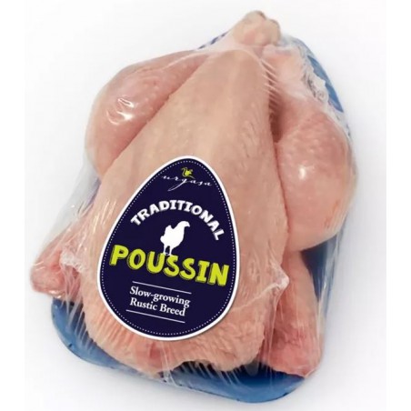 Biały mini kogucik Hiszpania 400/500 gr