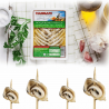BOQUERONES O SMAKU CZOSNKU NASSARI 80GR