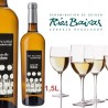 Wino B.CASTRO ALBARINO VALDES SIN PALABRAS RIAS BAIXAS 1,5 L.