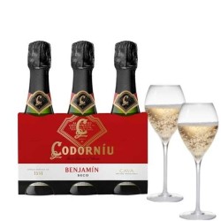 Cava CODORNIU BENJAMIN BRUT...