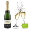 Cava MARQUES MONISTROL ORGANIC BRUT NATURE 750 ml