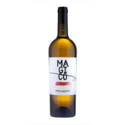 Wino Ferracane Magico...