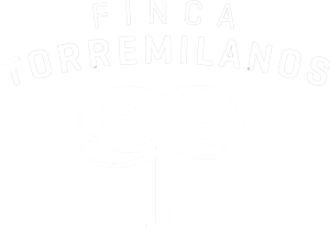 TORREMILANOS